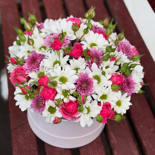 Blush Daisy Delight Box